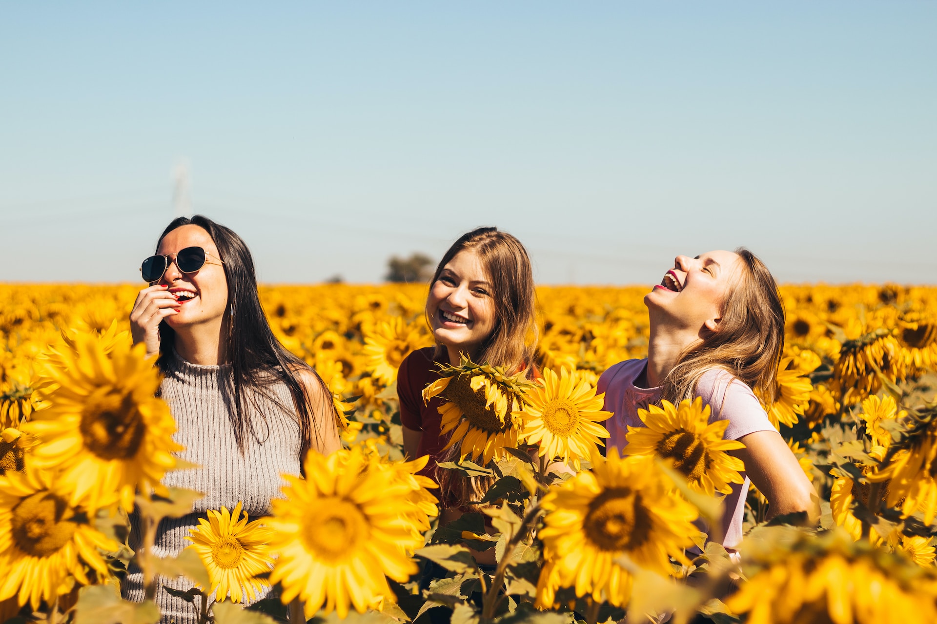 Happy women's inside a sunflowers field